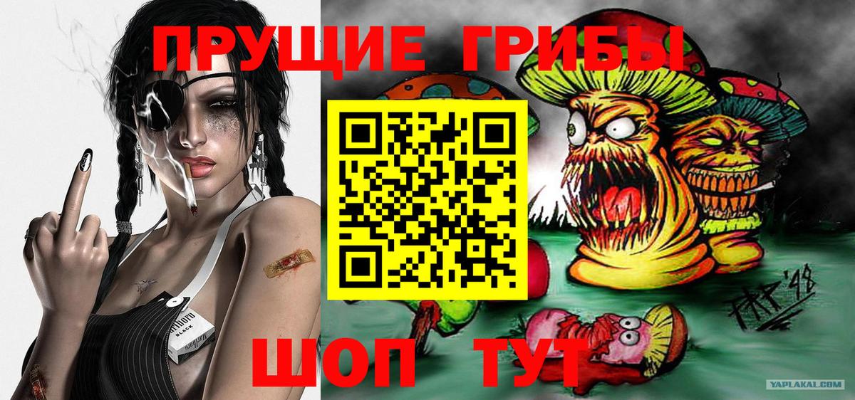Добрянка  Псилоцибиновые грибы GOLDEN TEACHER  Вход с VPN  Псилоцибиновые грибы мицелий 