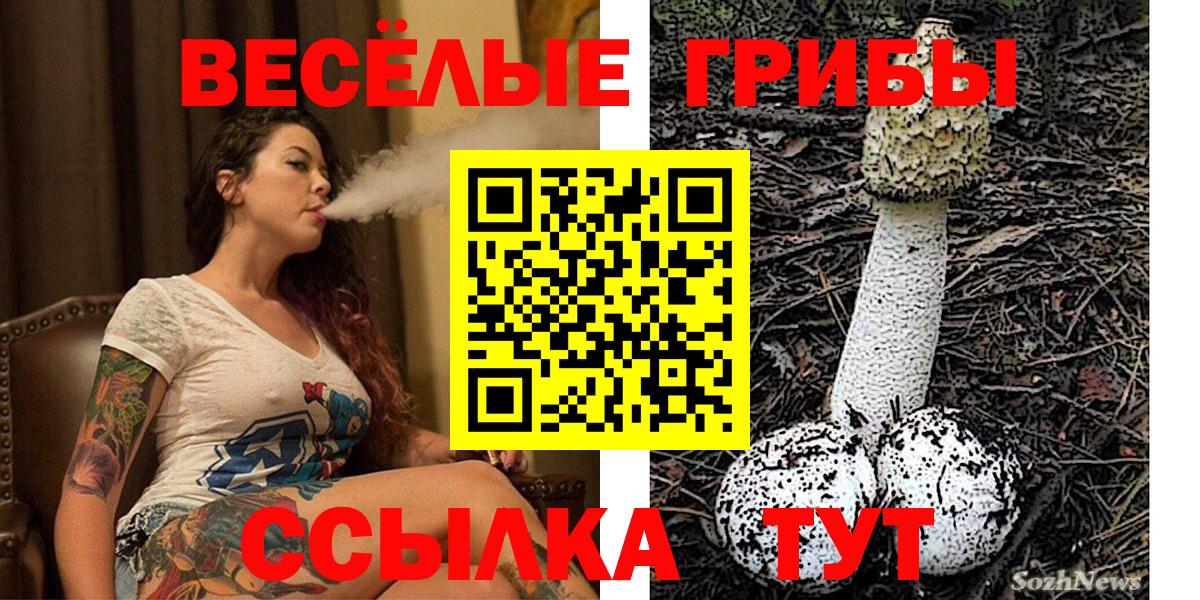 Псилоцибиновые грибы Psilocybe Добрянка